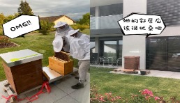 养蜜蜂成为海外新潮流 河南工厂在阿里国际站抓住海外机会